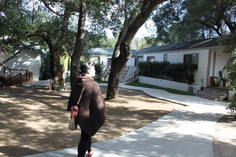 Enlarge photo 56