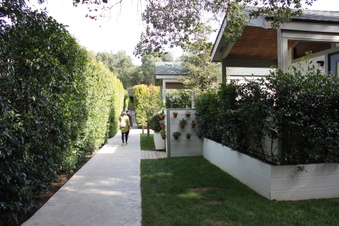 Enlarge photo 264