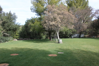 Enlarge photo 313