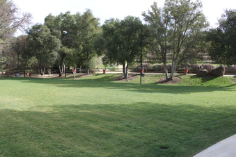 Enlarge photo 314