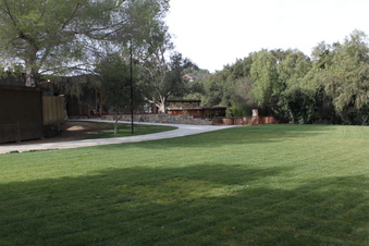 Enlarge photo 317