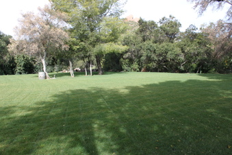 Enlarge photo 318