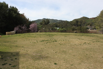 Enlarge photo 320