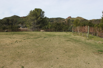 Enlarge photo 321