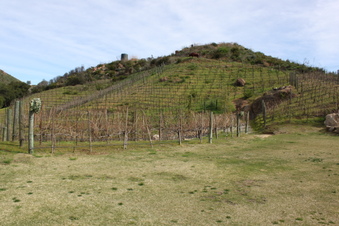 Enlarge photo 322
