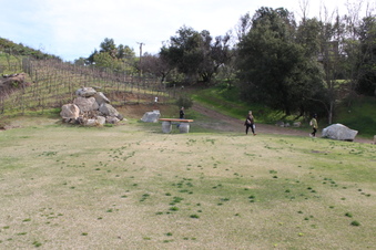 Enlarge photo 323
