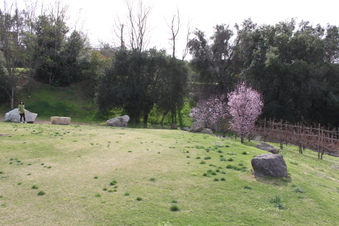 Enlarge photo 324