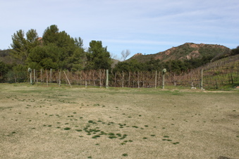 Enlarge photo 325