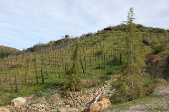 Enlarge photo 326