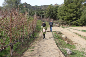 Enlarge photo 328