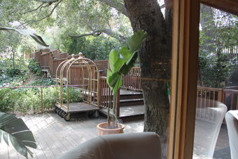 Enlarge photo 137