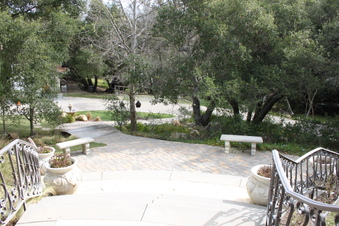 Enlarge photo 372