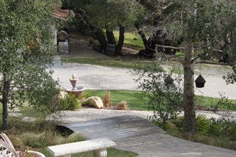 Enlarge photo 373