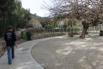 Enlarge photo 408