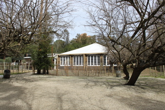 Enlarge photo 409