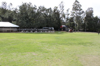 Enlarge photo 459