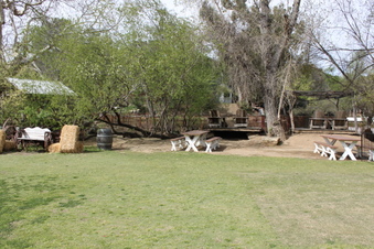 Enlarge photo 462