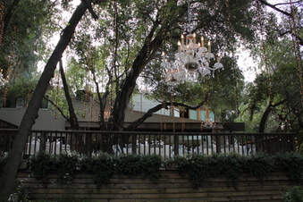Enlarge photo 486