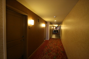 Enlarge photo 54