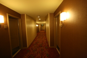 Enlarge photo 69