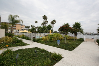 Enlarge photo 70