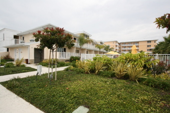 Enlarge photo 73