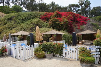 Enlarge photo 18