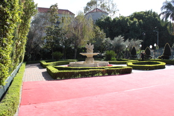 Enlarge photo 8