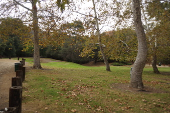 Enlarge photo 3
