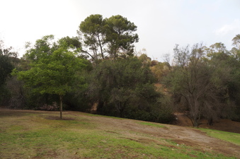 Enlarge photo 10