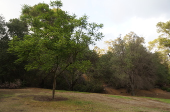 Enlarge photo 11