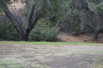 Enlarge photo 13