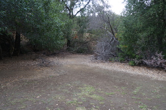 Enlarge photo 16