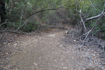 Enlarge photo 17