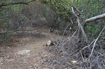 Enlarge photo 18