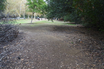 Enlarge photo 19