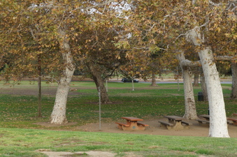 Enlarge photo 27