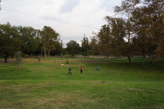 Enlarge photo 28
