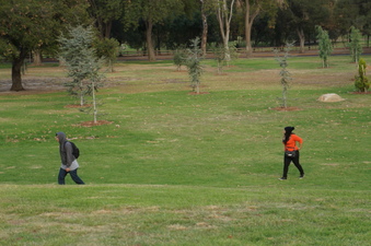 Enlarge photo 29