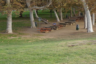 Enlarge photo 31