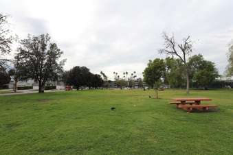 Rude Poisoning (park)