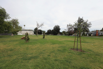 Enlarge photo 11
