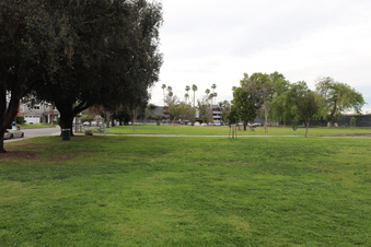 Enlarge photo 26