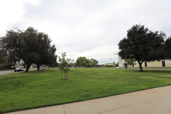 Enlarge photo 28