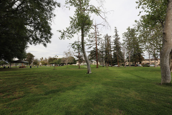 Enlarge photo 29