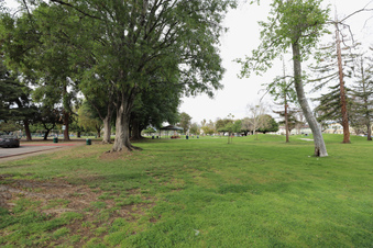 Enlarge photo 30