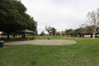 Enlarge photo 33