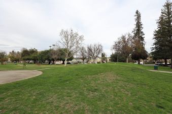 Enlarge photo 35