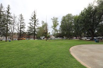 Enlarge photo 37