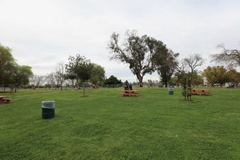 Enlarge photo 39